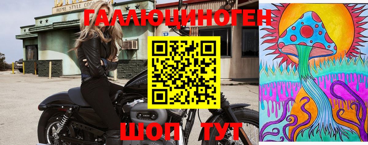 Заводоуковск  Псилоцибиновые грибы мицелий  Галлюциногенные грибы ЛСД  Вход с VPN 