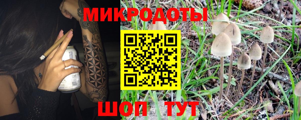 Галлюциногенные грибы MAGIC MUSHROOMS Заводоуковск